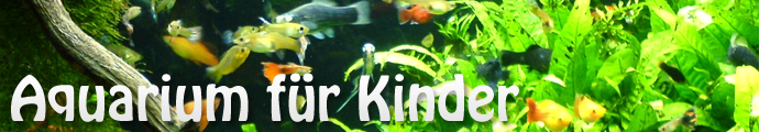 aquarium-für-kinder